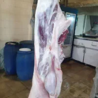 گوشت کهره و بره