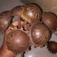 قفل گل میخ درکوب قدیمی آنتیک