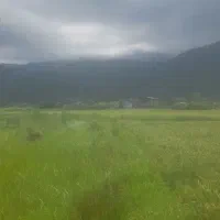 زمین کشاورزی مناسب گل گیاه اوشیان