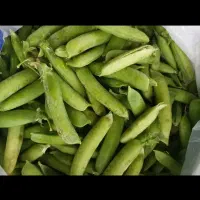 استخدام جوینده نخود فرنگی برای  صادرات