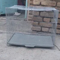 فروش قفس