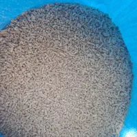 دان مرغ|حیوانات مزرعه|قزوین, |دیوار