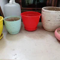 گلدون