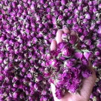 پخش گیاهان دارویی درجه یک از تولید کننده