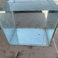 آکواریوم