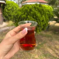 چای ممتاز گیلان/فروش ویژه به قیمت عمده