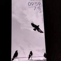 پوکو ایکس هفت پرو