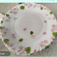 سرویس ارکو پال۱۲ نفره
