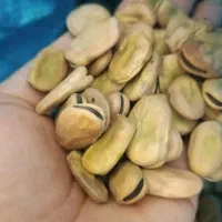 باقلا