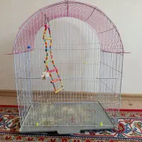 قفس