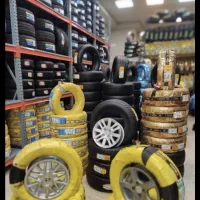 لاستیک با برگ سبز چینی و ایرانی