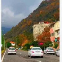 زمین ۴ دیواری۶ دانگ با کاربری باغی،اطراف ساخته شده