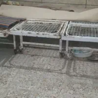 تخت محکم