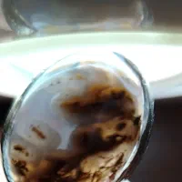 معاوضه انگشترباحیوانات مزرعه جوجه اردک ماهی حلزون