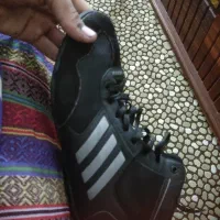 کفش کشتی سایز 40