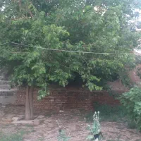 خانه ومسکن اجاره ای