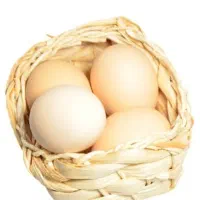 تخم مرغ محلی