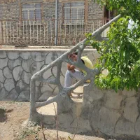 باغ-باغچه-ده-ساله