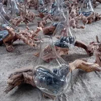 پخش گلدان های چوبی و شیشه ای