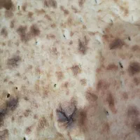 کارگر نانوایی هستم