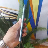 note|موبایل|رشت, دروازه لاکان|دیوار
