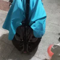 کالسکه دوقلو خارجی مارک سبک قابل حمل