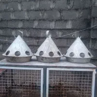 آبخوری کبوتر