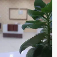 ترک اعتیاد