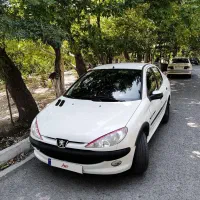 206 SD بیرنگ