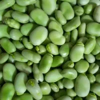 باقالی