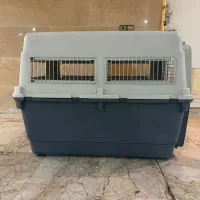 باکس سگ نژاد بزرگ