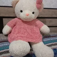 خرس بزرگ و زیبا