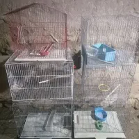 قفس پرنده