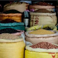 خواربار فروشی موحد