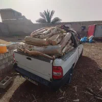 خرید درخت|خدمات باغبانی و درختکاری|کارون, |دیوار