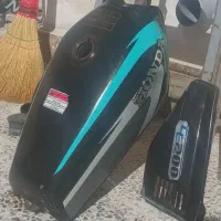 باک و زین در حدنو