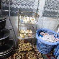 جا سیب زمینی پیاز