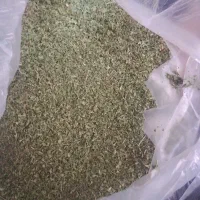 نعناپودرشده