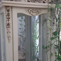 بوفه ویترین