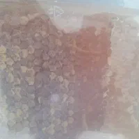 عسل