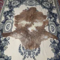 پوست دباغی