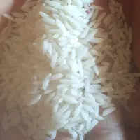 برنج هاشمی