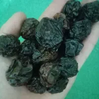 الو مراغه درجه یک