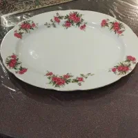 دیس گل سرخی وظرف چینی