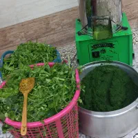 سبزی خورشتی. اشی .برنجی تمیزو بهداشتی