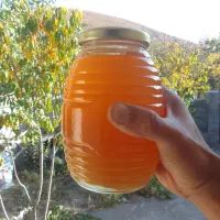 عسل طبیعی خلخال