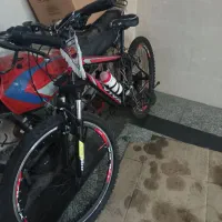 دوچرخه ویوا نو نو خشک