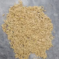 سبوس شالی
