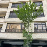 ۱۰۵متری / مهدیه / نوساز تجهیز / ملک جنوبی / ویودار
