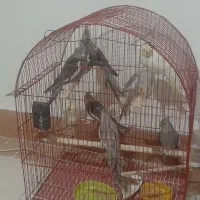 سن ۳ ماه